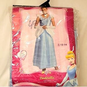 DISNEY Adult Costume Cinderella Gown Choker Glovettes Headband Size Womens 12-14